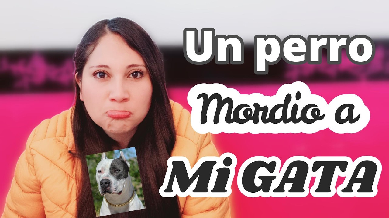 Un día caótico: el susto con mi gatita y cuando la vida te agarra en curva |PODCAST Ep. 5 | By Neidy