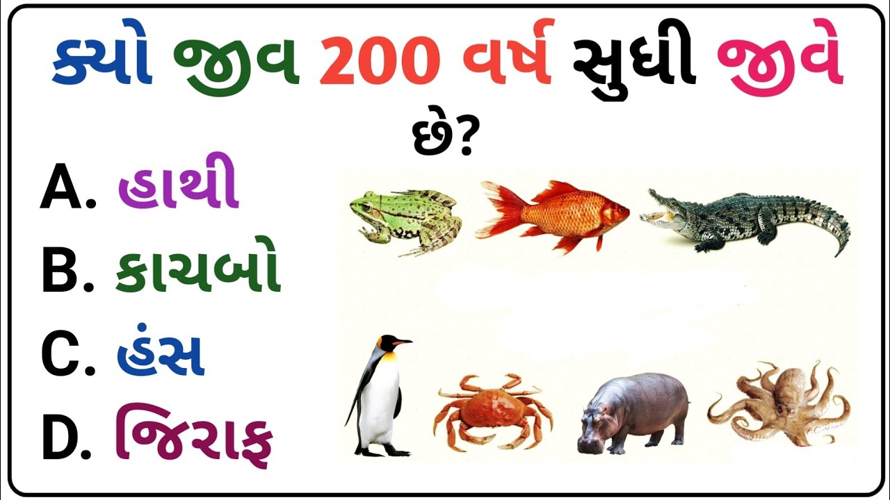 જનરલ નોલેજ || gk in #Gujarati Gk Question And Answer || gk gujarati સામાન્ય જ્ઞાન ક્વિઝ