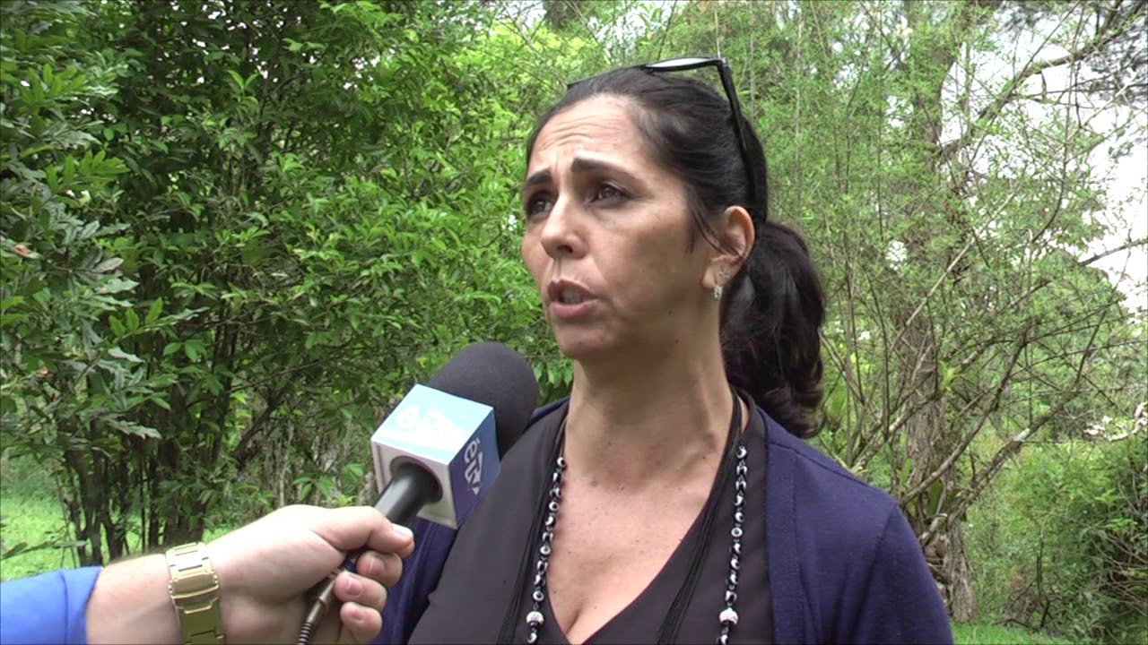 Mulher produz ervas medicinais h&aacute; 16 anos em Canelinha