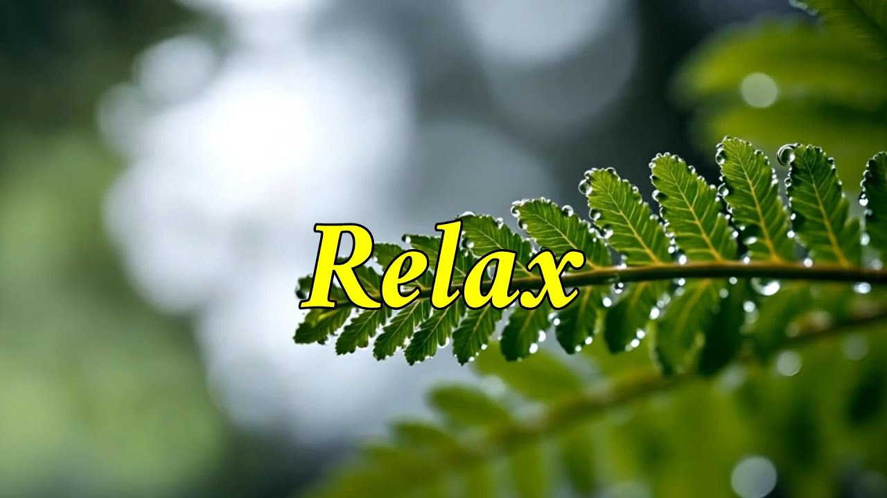 Peaceful Solo Guitar Melodies | Gentle and Minimal Music for Calm Nights
