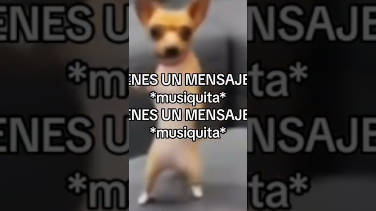 Tienes un mensaje *m&uacute;sica* #meme #xd #2024
