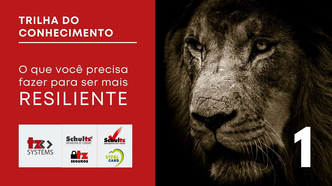 TZ Systems: O que voc&ecirc; precisa fazer para ser mais resiliente - parte 1