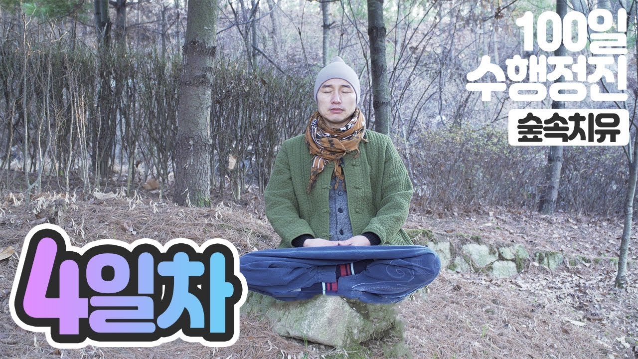 ☯귓전명상수련✓4일차✚숲속치유▶백일(100일)수행정진 명상법