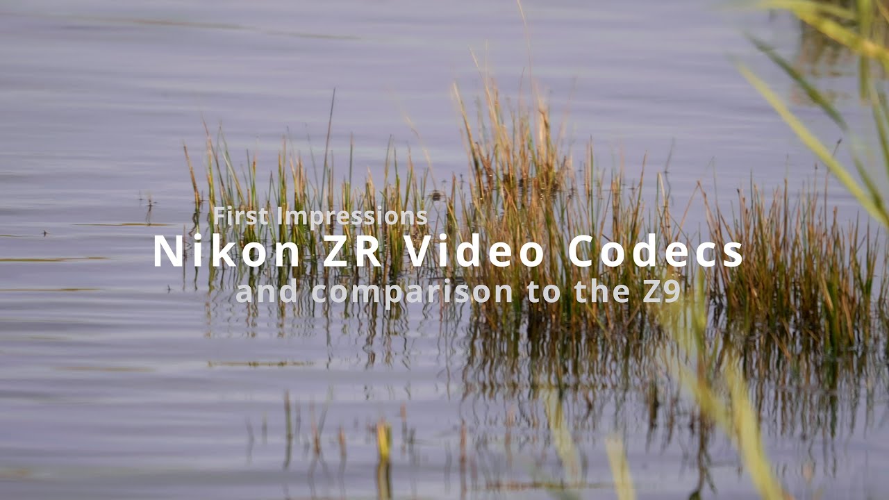 NikonZR - First Impressions on video codecs and comparison to the Nikon Z9