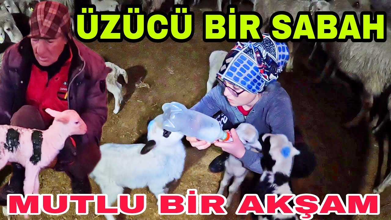 ÜZÜCÜ BİR SABAH !!! MUTLU BİR AKŞAM~İKRAYA EV ALDIK
