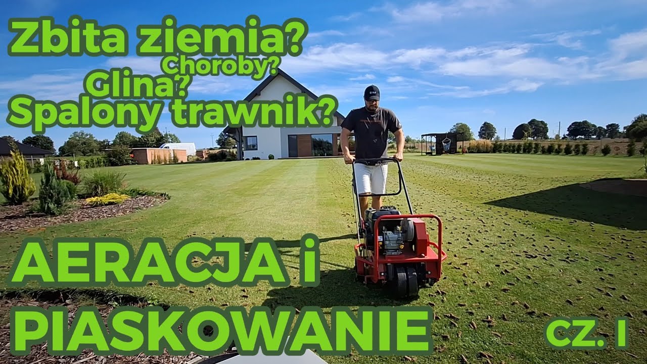 Aeracja i piaskowanie trawnika CZ. 1 Co pomoże naprawić Ci ten zabieg. Mozolne zbieranie wykorków