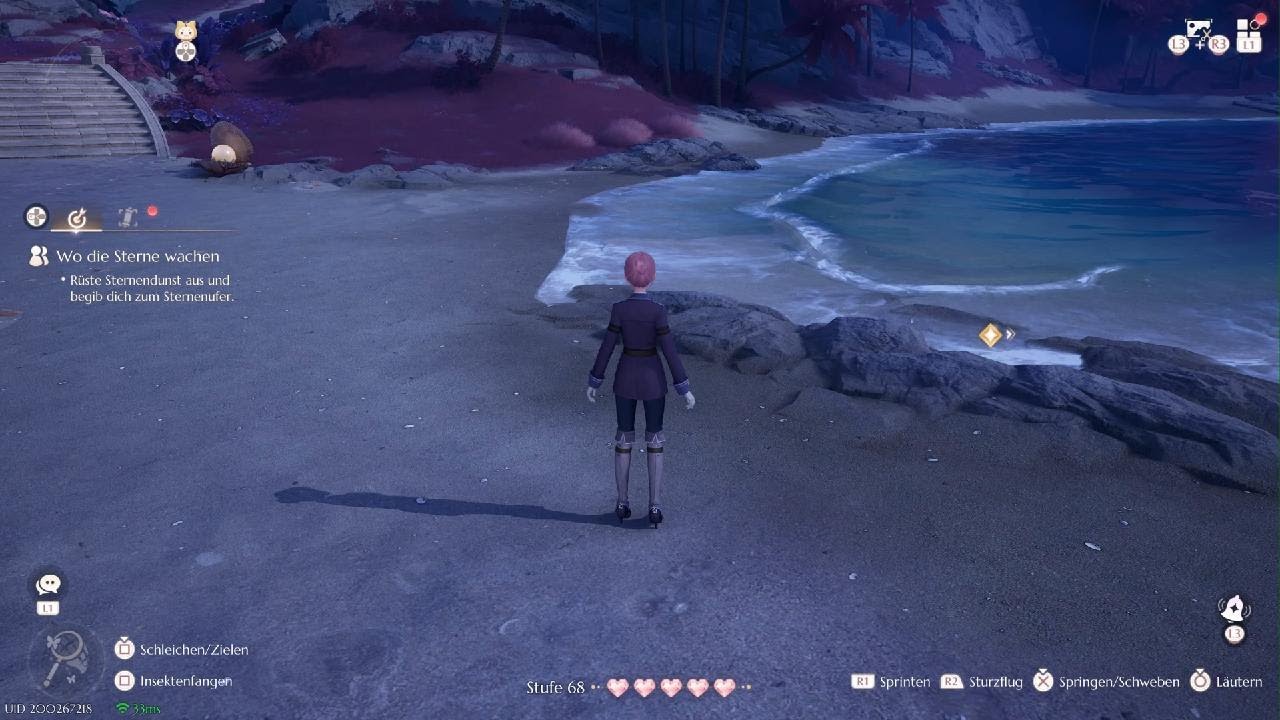 Infinity Nikki Wo die Sterne Wachen