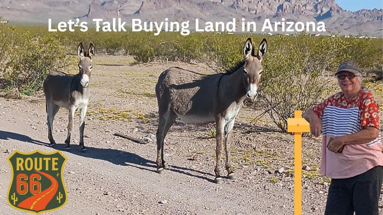 LET'S TALK BUYING LAND IN ARIZONA 