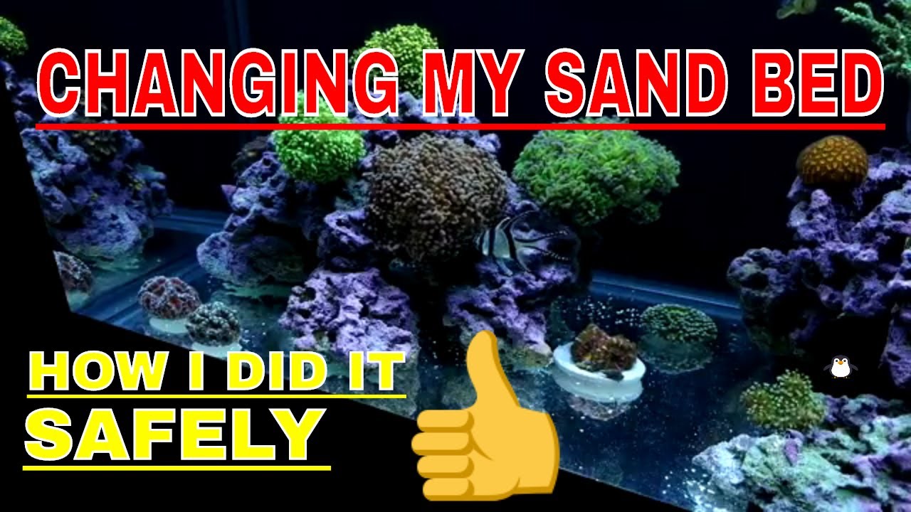75 Gallon Reef Tank - Changing The Sand Bed - Caribsea Sand