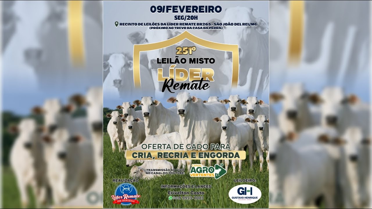 251º LEILÃO MISTO LÍDER REMATE - SÃO JOÃO DEL REI/MG - 09/02/2026