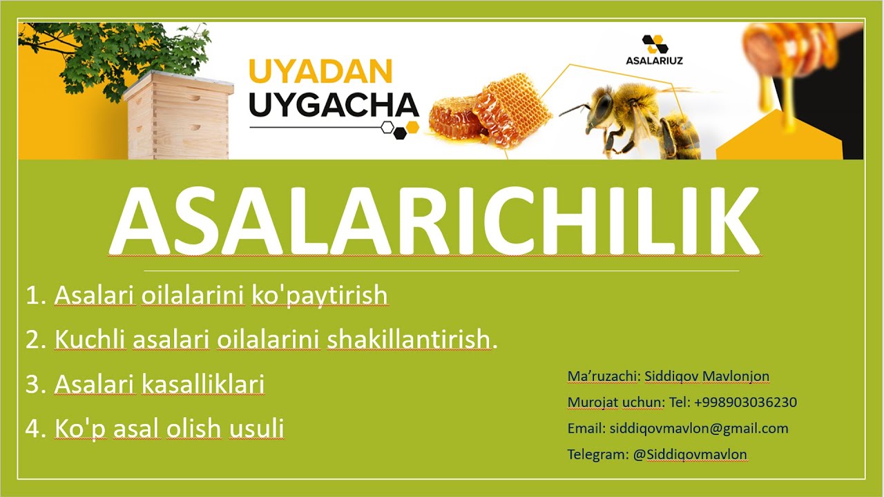 Asalari oilalarini to'g'ri ko'paytirish. Masterklass