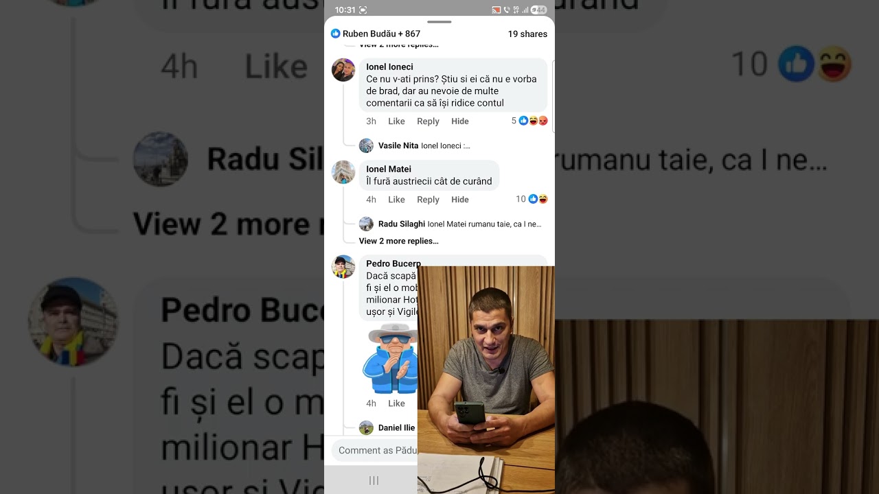 Bradul care nu-i stejar