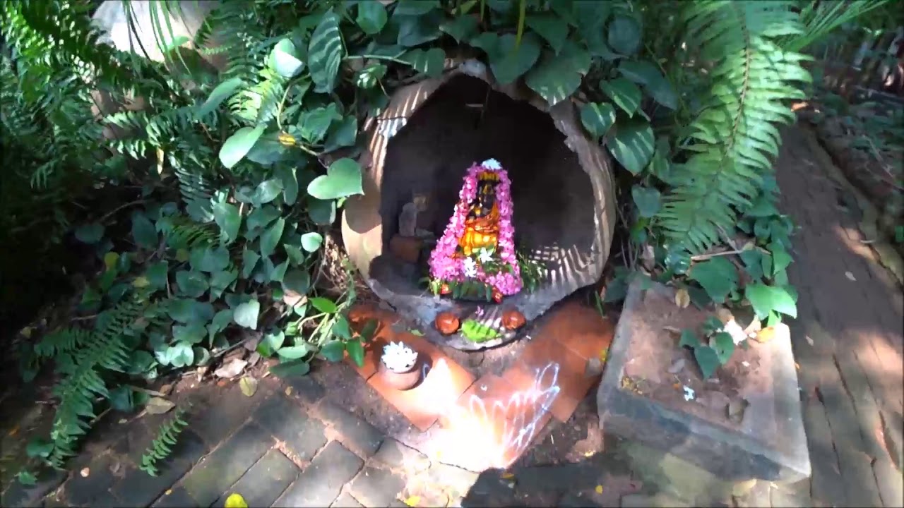 11. АУРОВИЛЬ ГОРОД РАССВЕТА. ЧУДЕСНЫЙ ГЕСТХАУЗ. ИСТОРИЯ ОЖИВШЕЙ ДЕВОЧКИ КАЛИ. ИНДИЯ