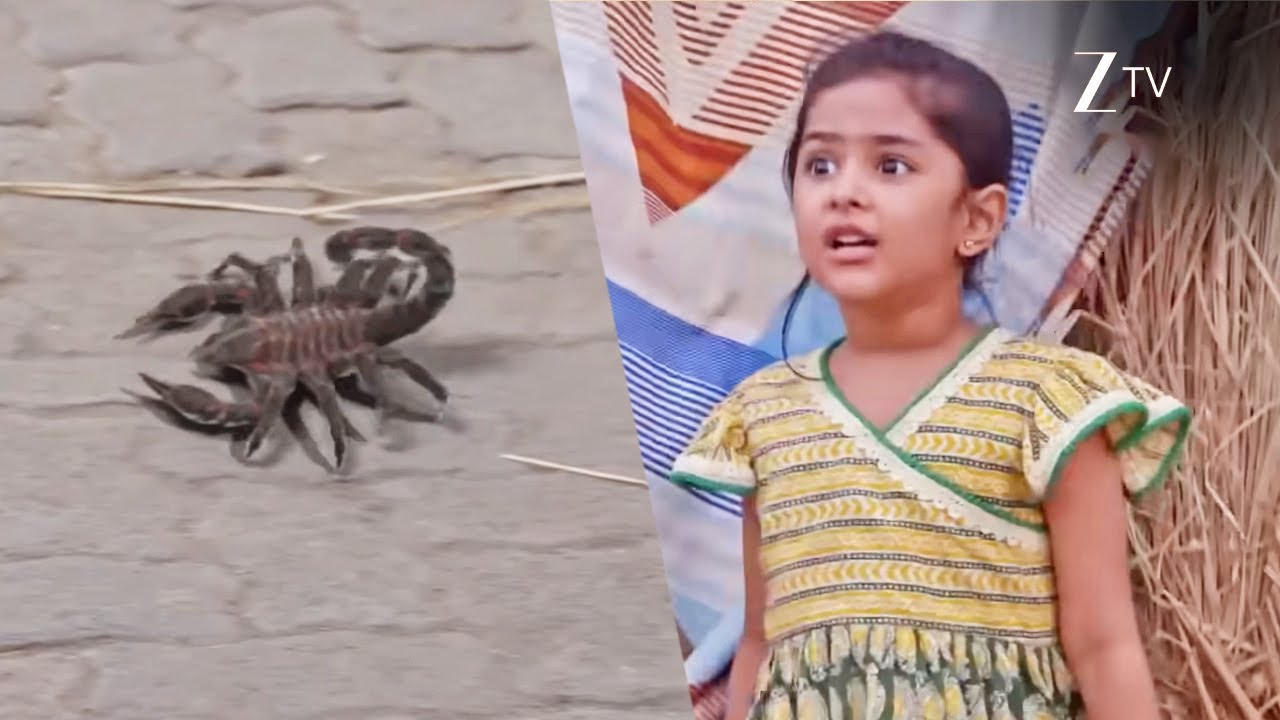 Bhagya Lakshmi | Ep - 903 | Webisode | Apr, 6 2024 | Rohit Suchanti, Aishwarya Khare | Zee TV