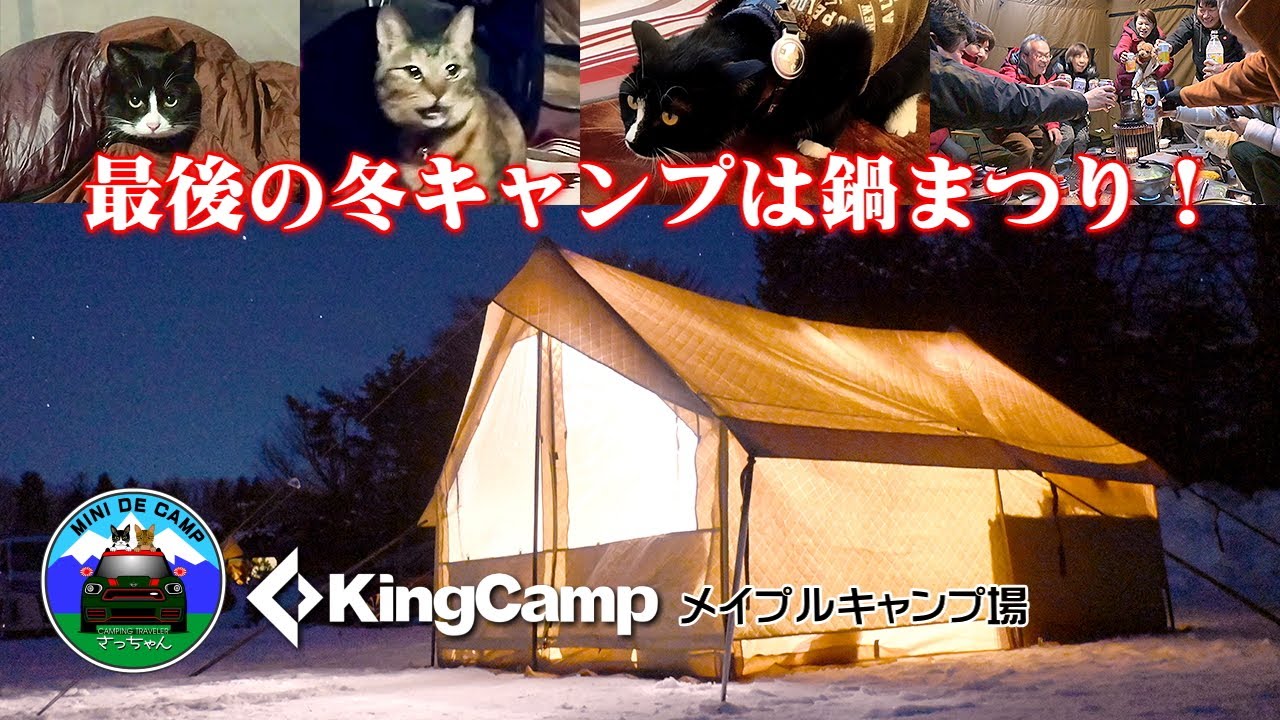 北海道キャンプ！KingCampロッジ型テントTPU窓付！冬キャンプ最後は鍋料理でグルキャン！キャンプ猫のルナちゃんが来た～♪