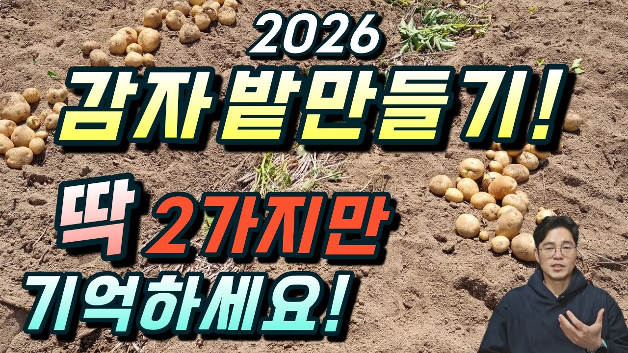 감자밭 이렇게만 만드시면 됩니다. 20년된 농약사에서 알려주는 봄감자 밭만드는 요령. 