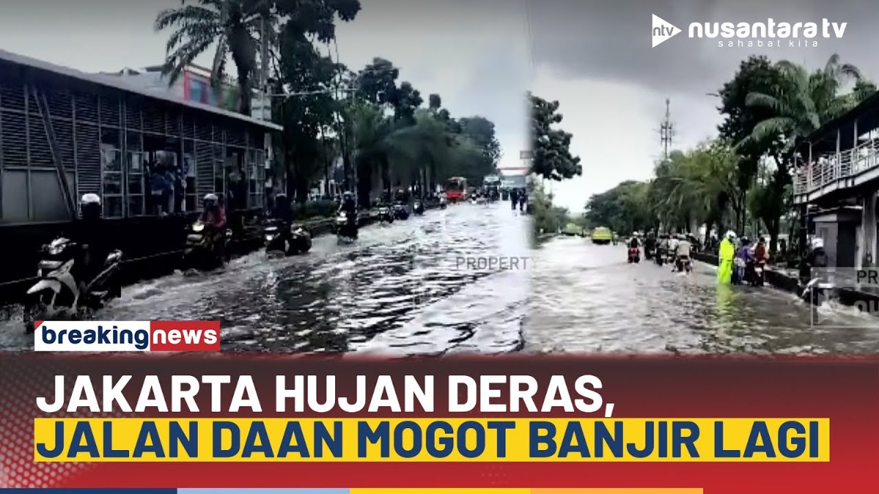 Jakarta Hujan Deras, Jalan Daan Mogot Terendam Banjir! Warga Nekat Lewat Jalur TransJakarta | NTV