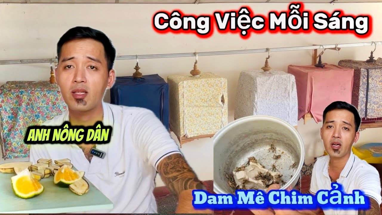 Công việc mỗi sáng | siêu bổi nghệ an @Toanquangnam 