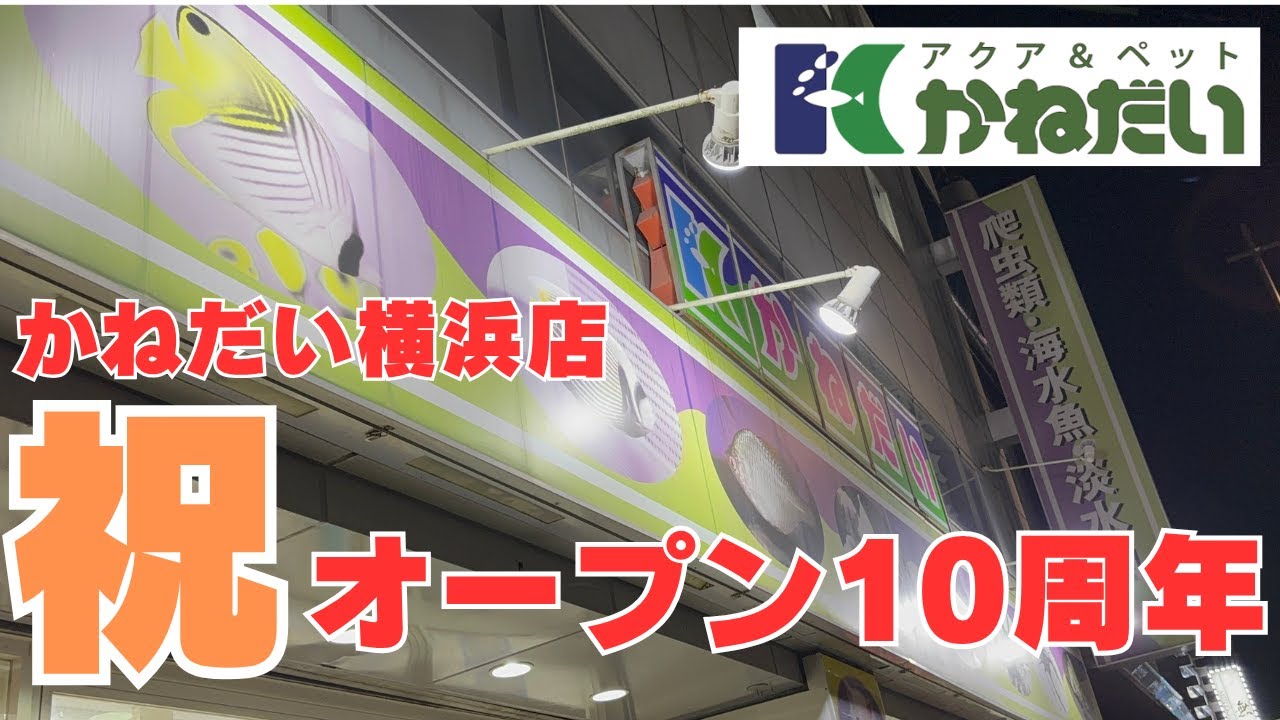 【ショップ紹介】かねだい横浜店がオープン10周年を迎えたようです！！