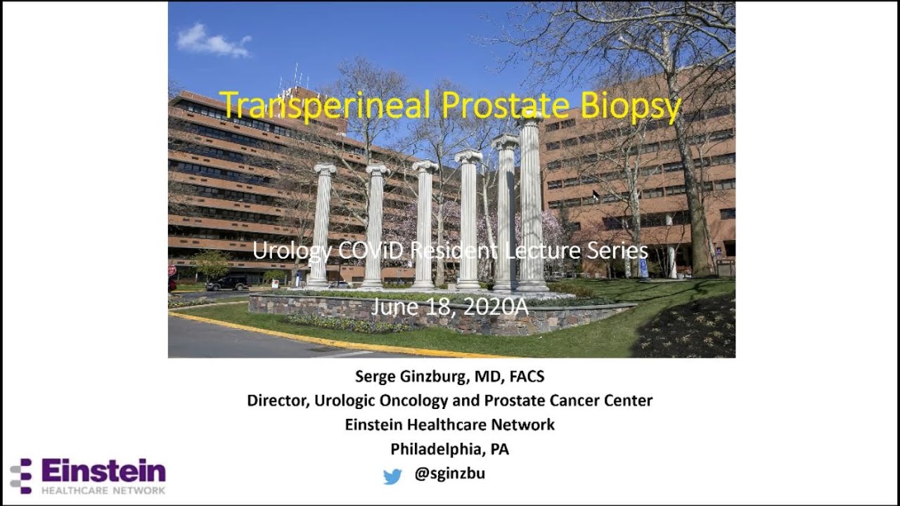 18.06.2020 Урология COVID-19: дидактика — трансперинеальная биопсия простаты