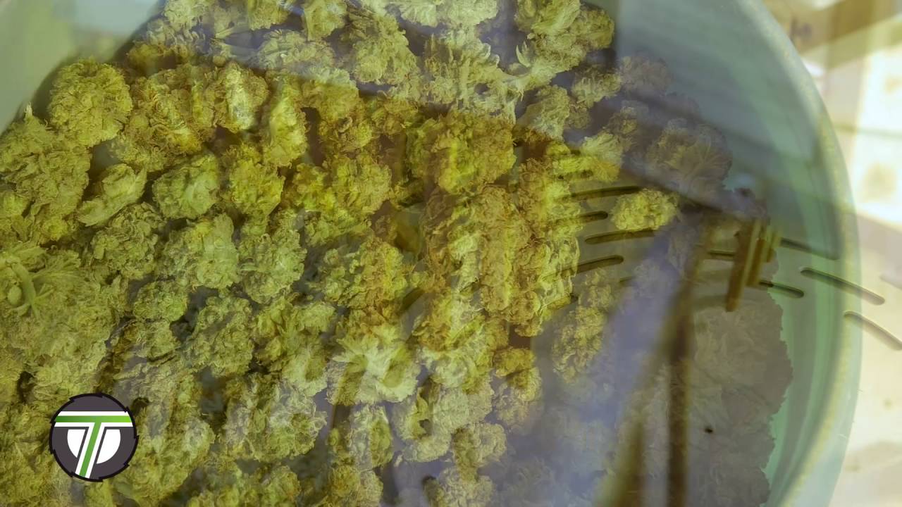 EZ Trim Satellite Bud Trimmer Tutorial Video
