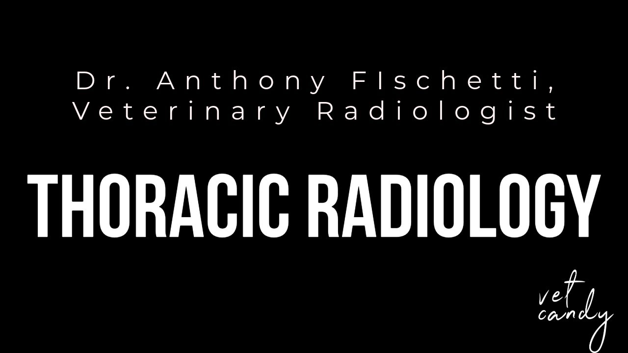 Unlock NAVLE Success with Dr. Anthony Fischetti's Expert Tips on Thoracic Radiology—Don't Miss Out!
