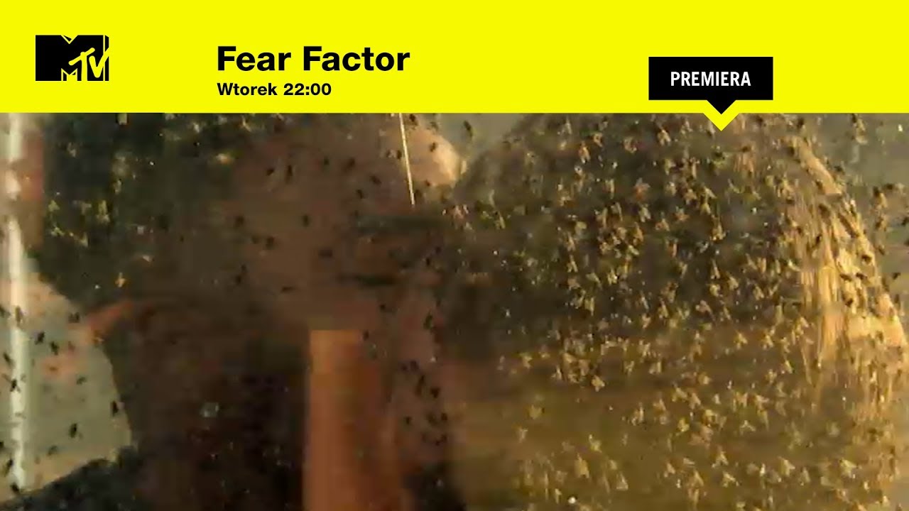 Fear Factor s02 e07 I Całują się!