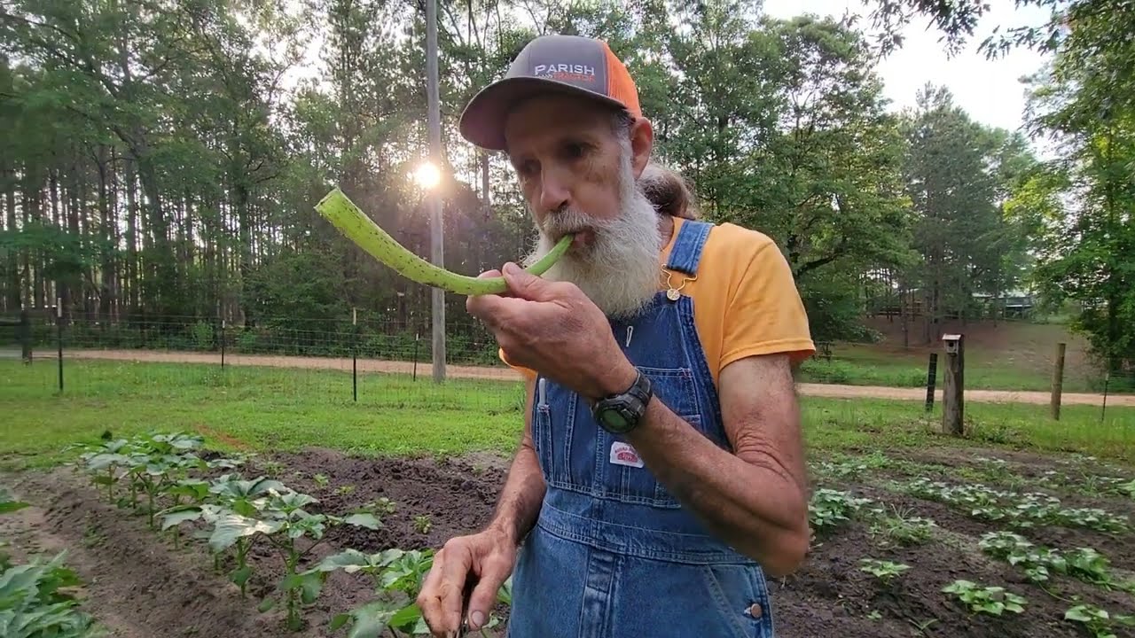 A Morning in the GARDEN with Danny and Wanda