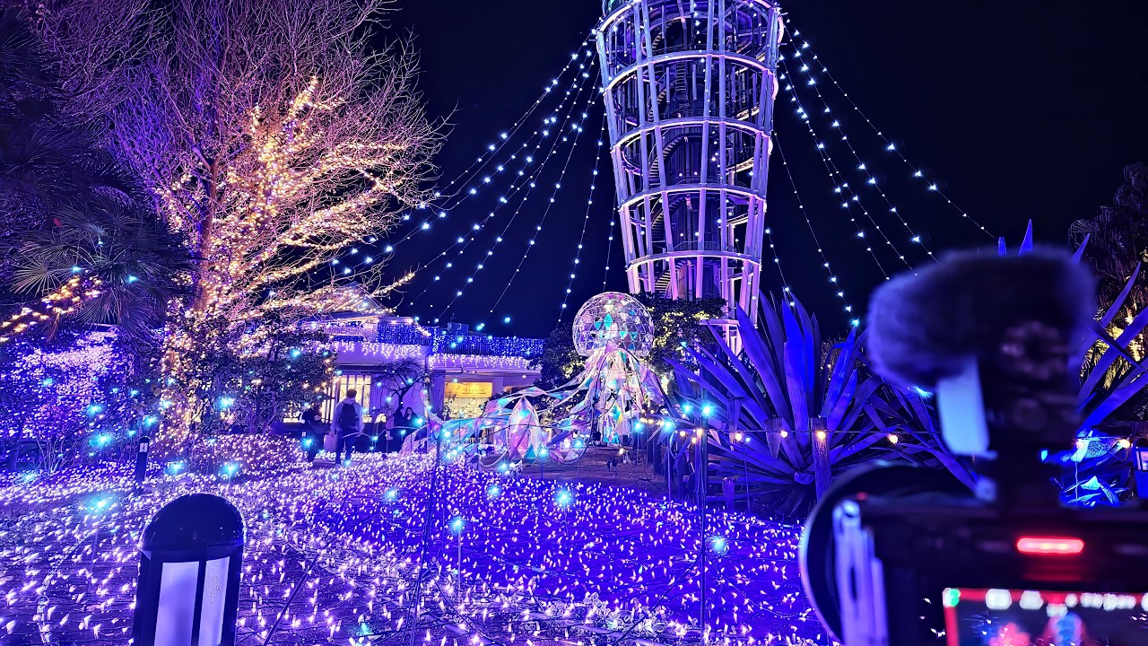 Enoshima - cats and Christmas lights 2023・4K HDR