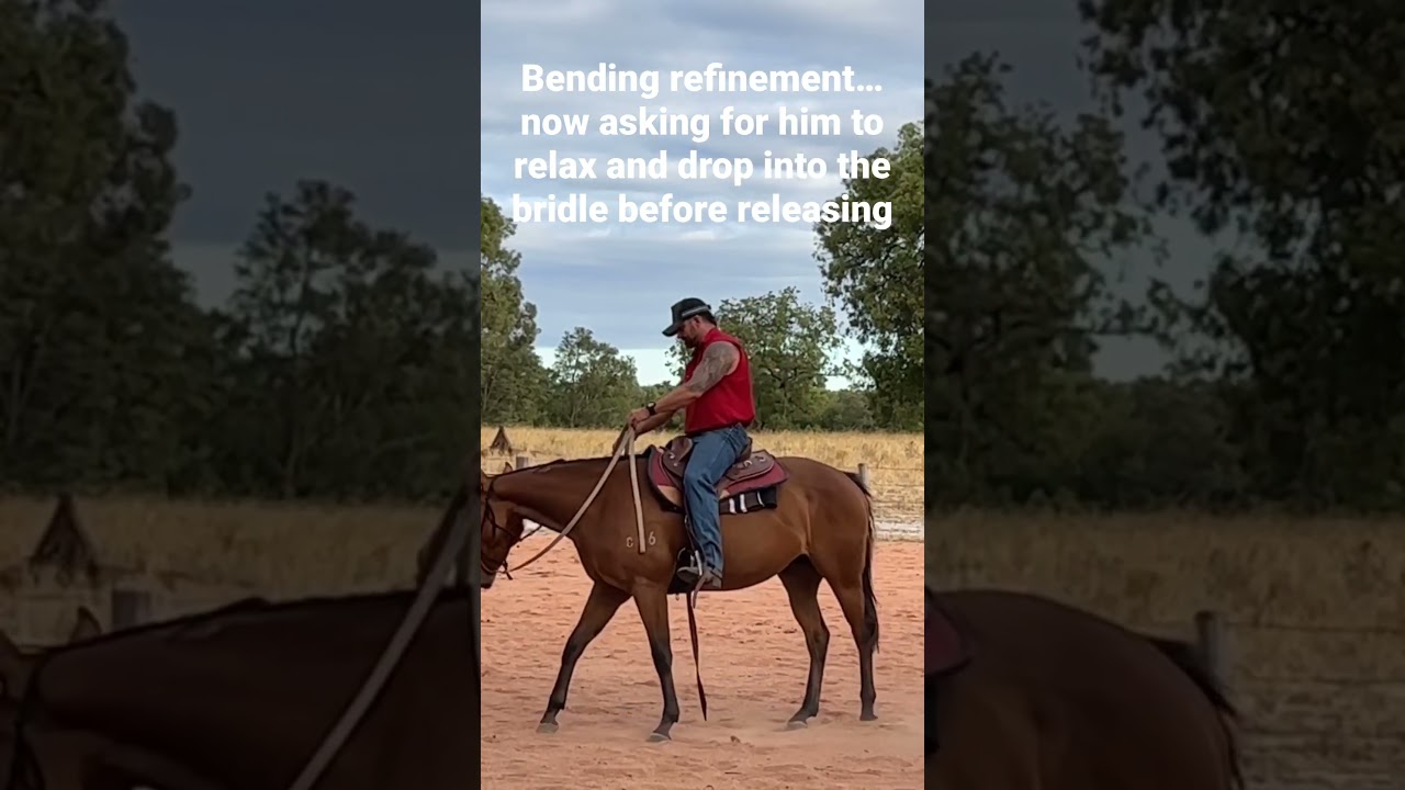 Bending exercise refinement, creating relaxation #horsemanship #coltstarting #quarterhorse
