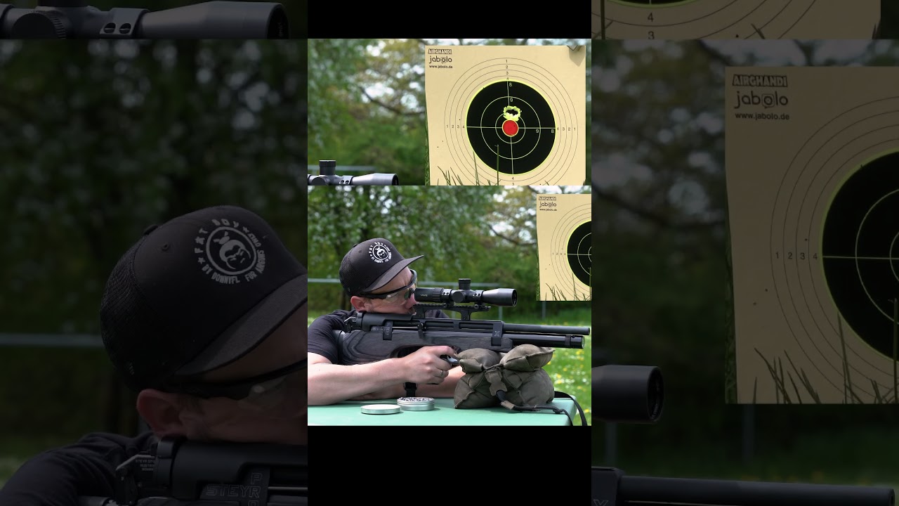 Wie präzise ist die Steyr Pro X? 