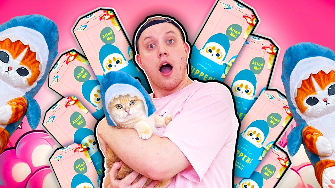 KOCIE BOXY NIESPODZIANKI z JAPONII