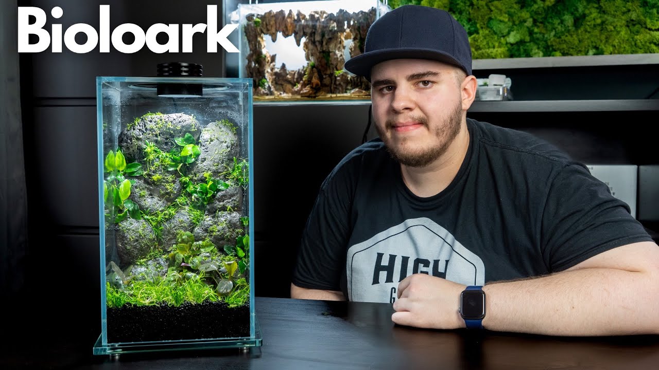 Mini Terrarium einrichten mit Aquariumpflanzen!