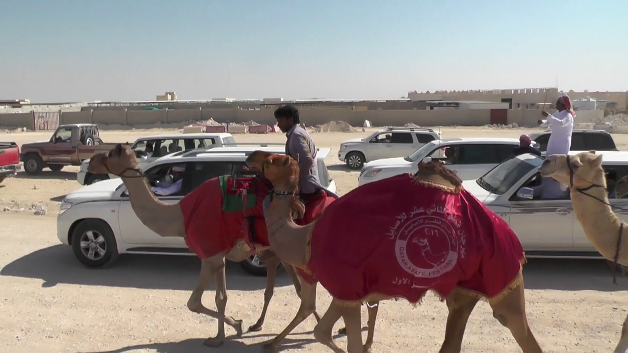 مسيرة وطن ملك حميد  سعيد  بن الشرف المحرمي