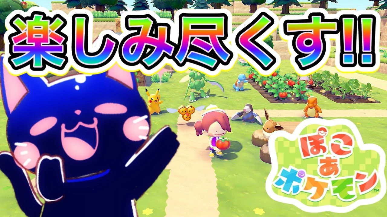 【ぽこ あ　ポケモン】3日目！作ろう！！みんなの街を！！