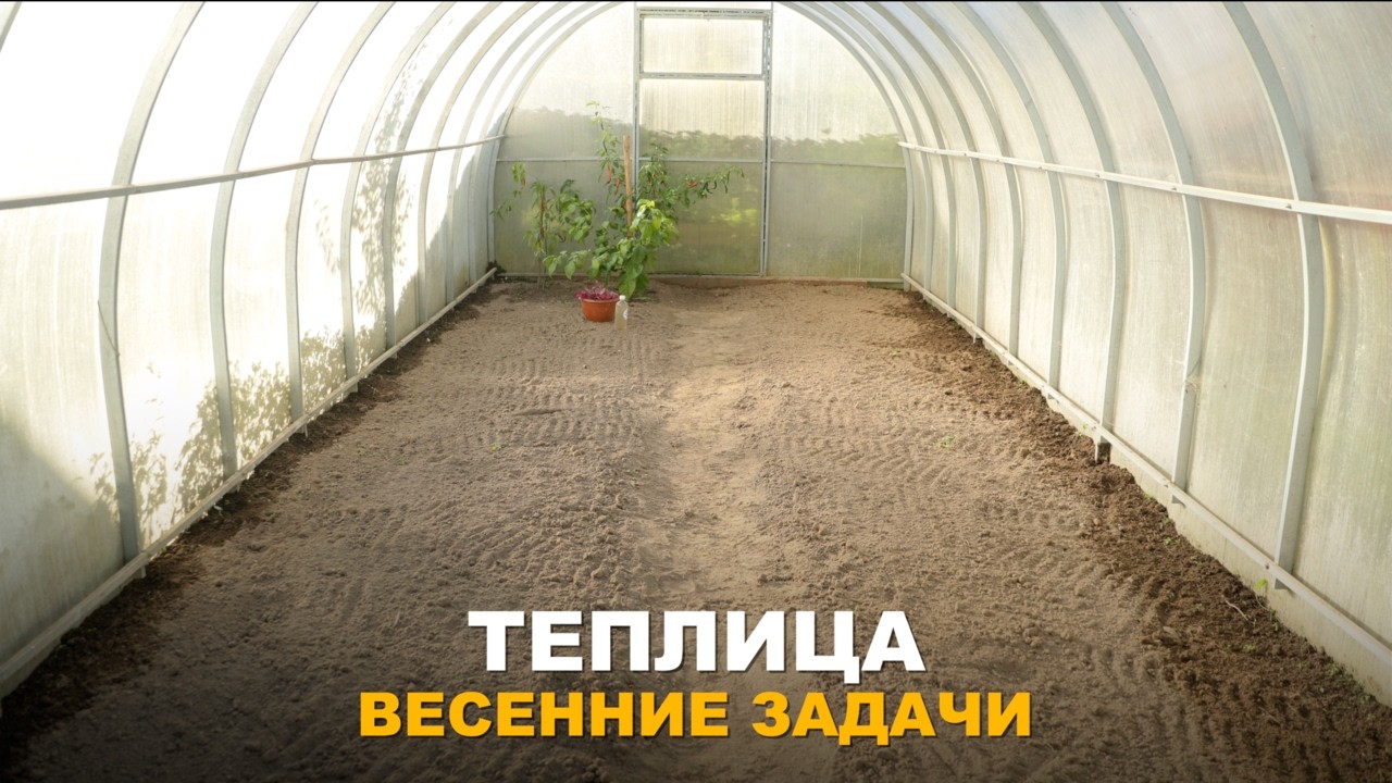 ГОТОВИМ ТЕПЛИЦУ К СЕЗОНУ. Работы в теплице и ближайшие посевы для раннего урожая.