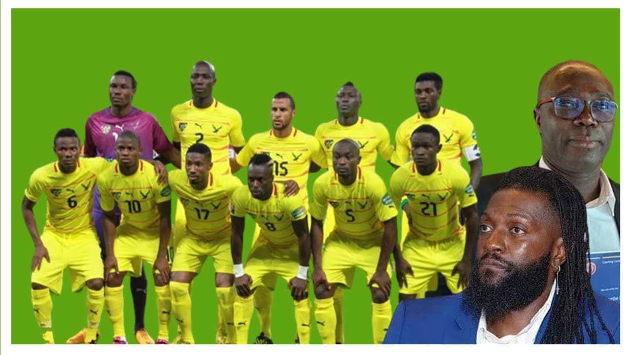 Que sont devenus les éperviers de la CAN 2013 ?