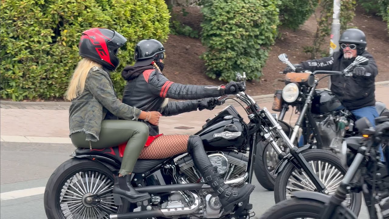 Harley Rider, Highlights 2025,  Part 11, 💥⚡️ 😳  #harley #custom 