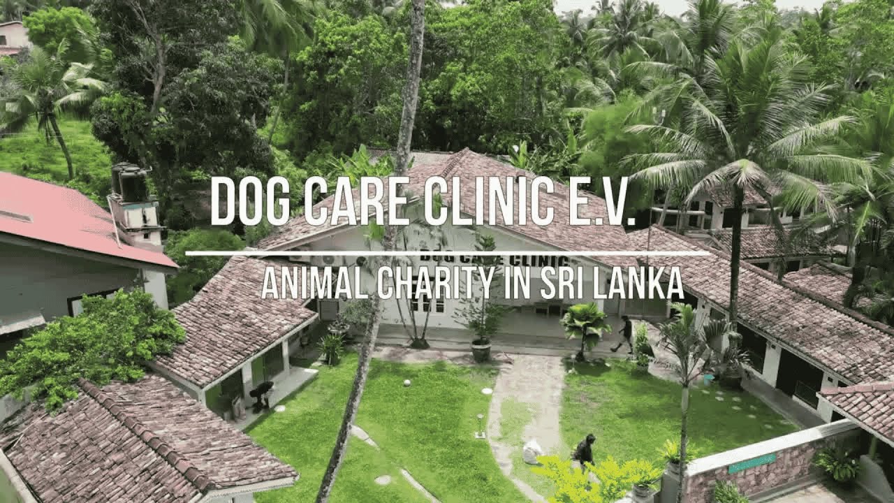 The Dog Care Clinic &ndash; A Lifeline for Sri Lanka&rsquo;s Street Dogs