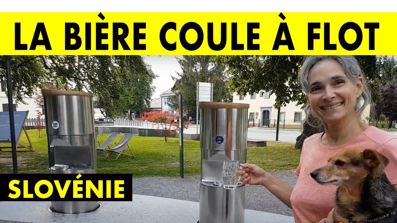 🇸🇮 Fontaine à bière à Zalec