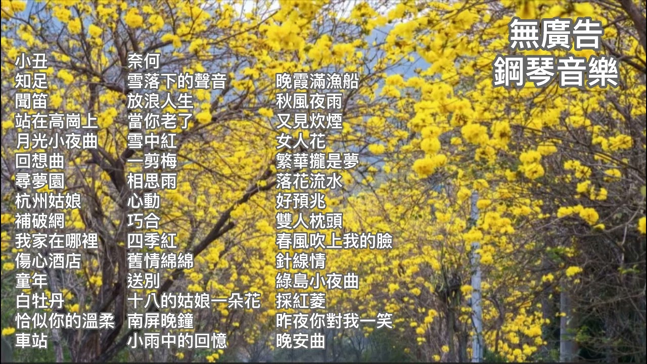 無廣告鋼琴演奏🎶首首動聽熟悉的旋律🎼🎶國語流行歌曲、台語經典傳唱、國語老歌精選、懷念民歌～公益活動表演現場收音完美呈現愛心響宴💞💞💞