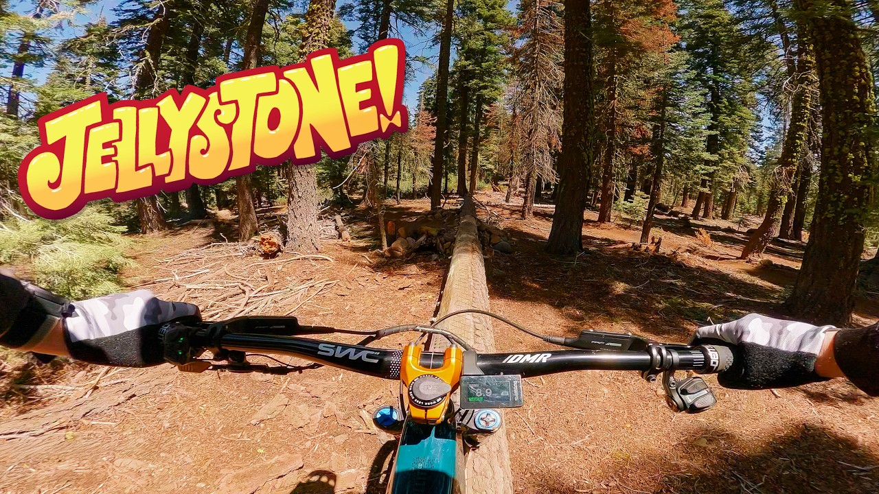 You’ve Gotta Ride This! Jellystone Jump Trail – Truckee, CA!