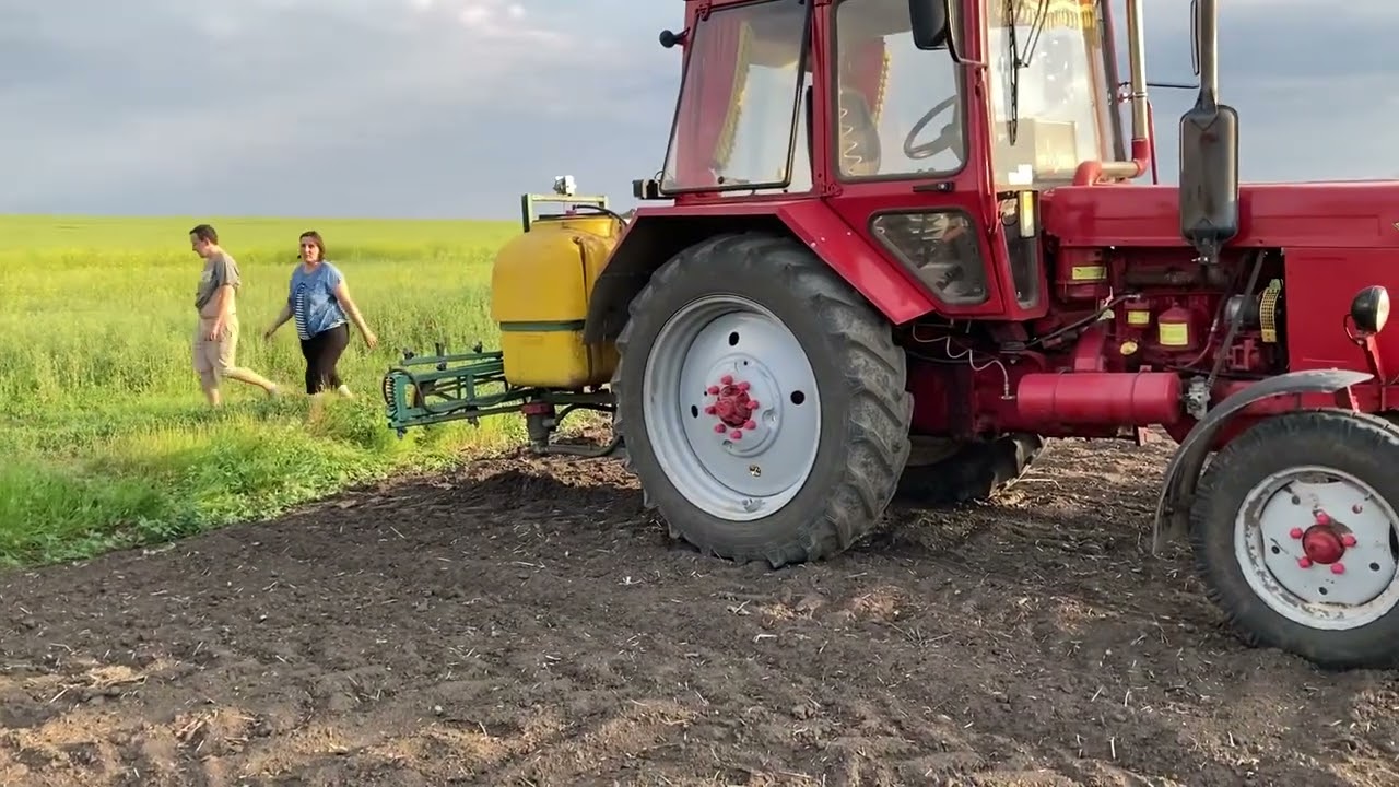 Сонях зʼїв кліщ! Жіночка пересіває!😂