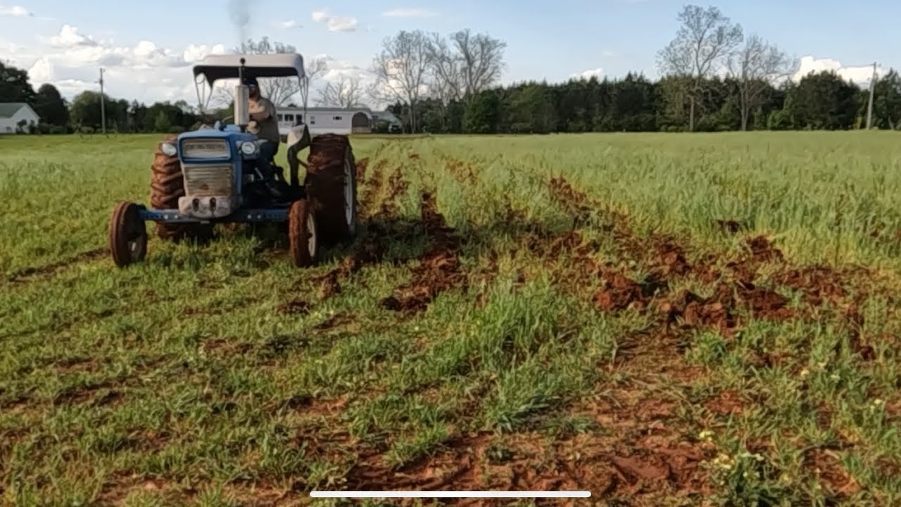 Finishing up the subsoiling