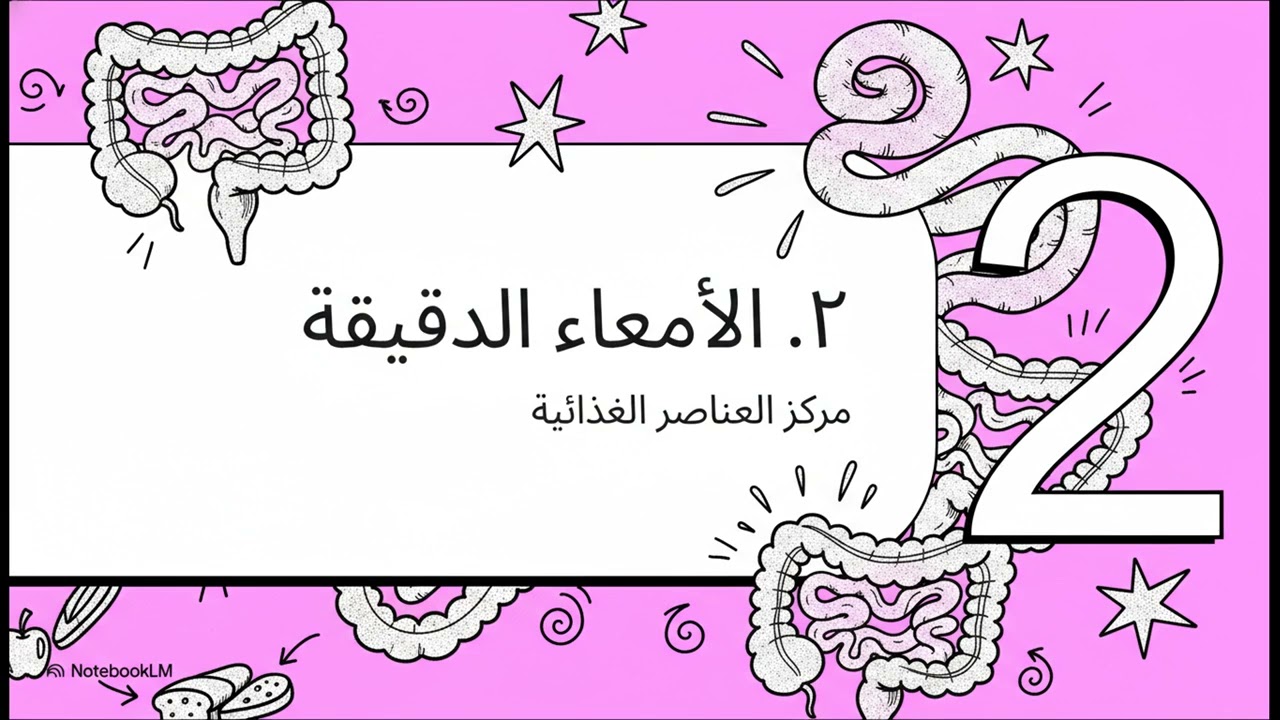 ملخص تشريح نظري 3