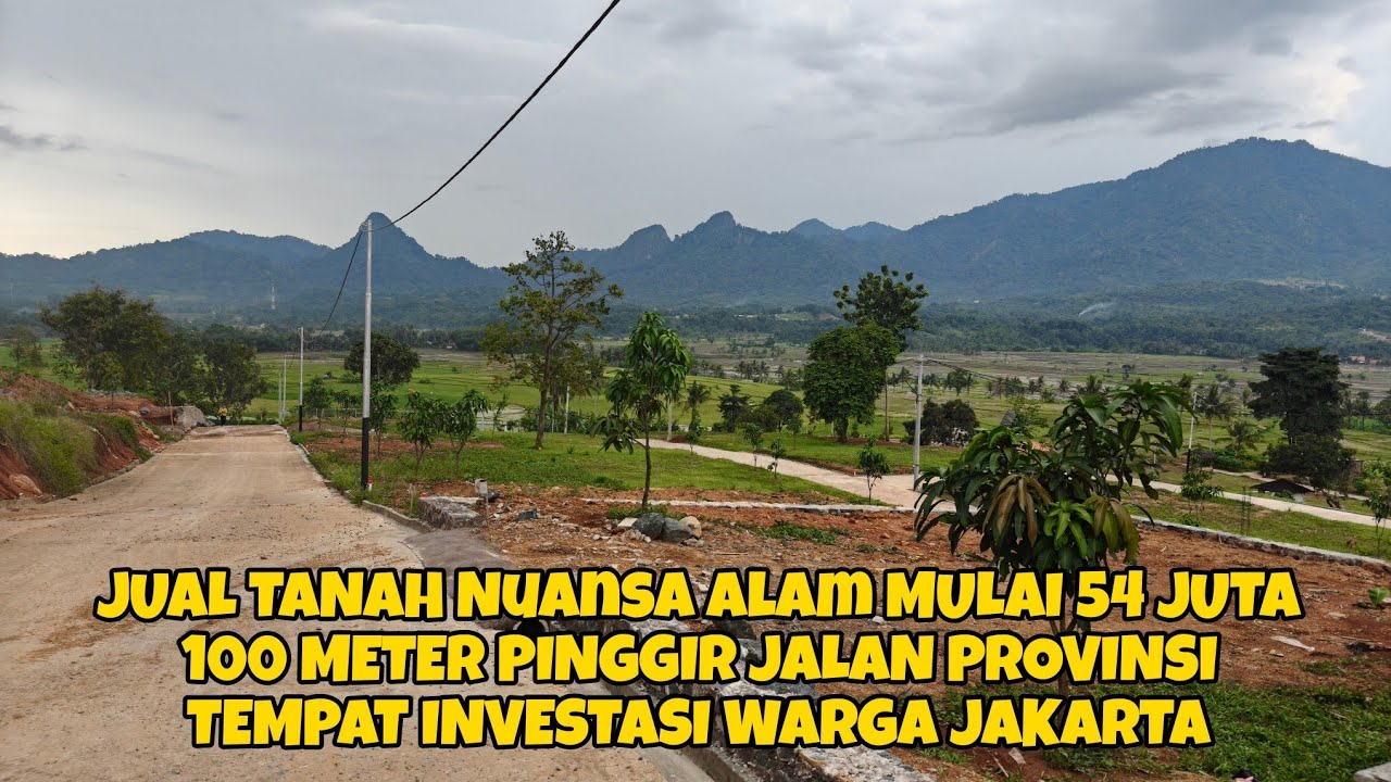 JUAL TANAH Nuansa Alam MULAI 54 JUTA 100 METER PINGGIR JALAN PROVINSI TEMPAT INVESTASI WARGA JAKARTA