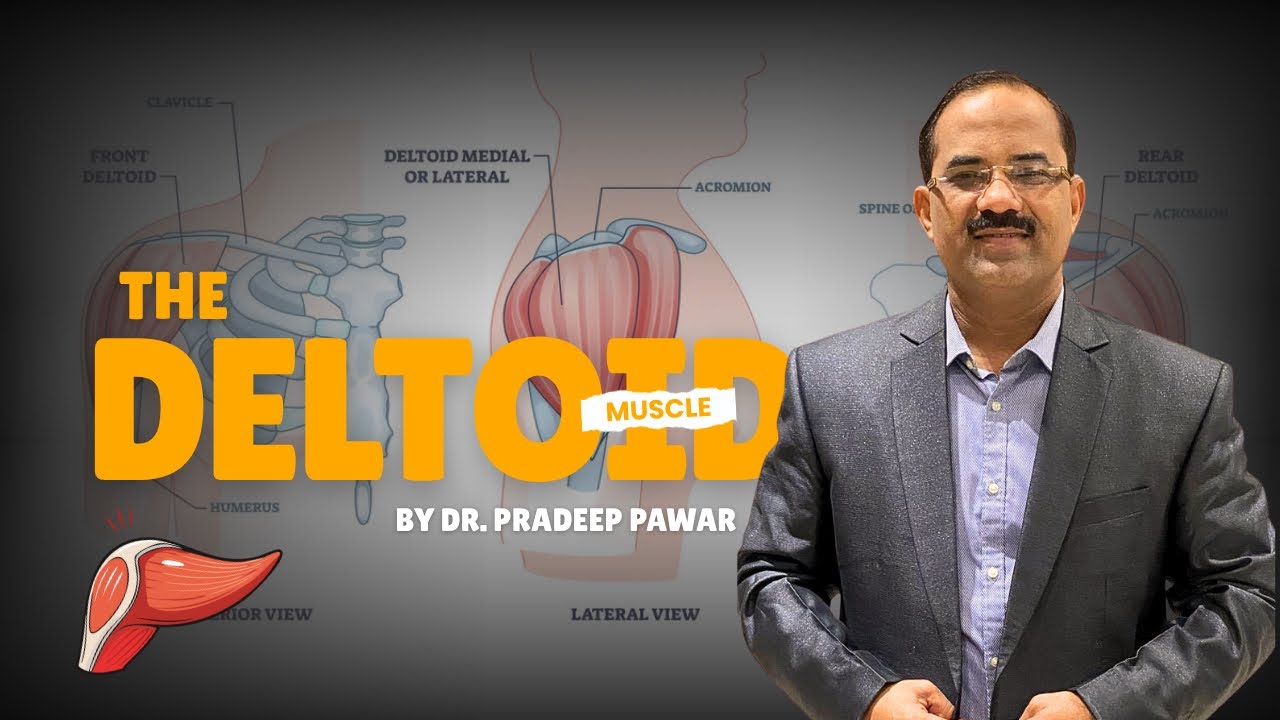 MASTER the Deltoid in 15 Min! 💪 Origin, Insertion, Actions & Applied Anatomy (Dr. Pradeep Pawar)