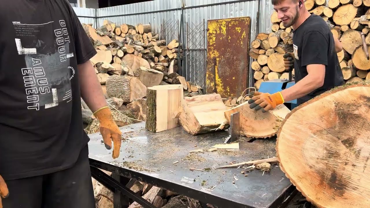 When the Biggest Stumps Arrive