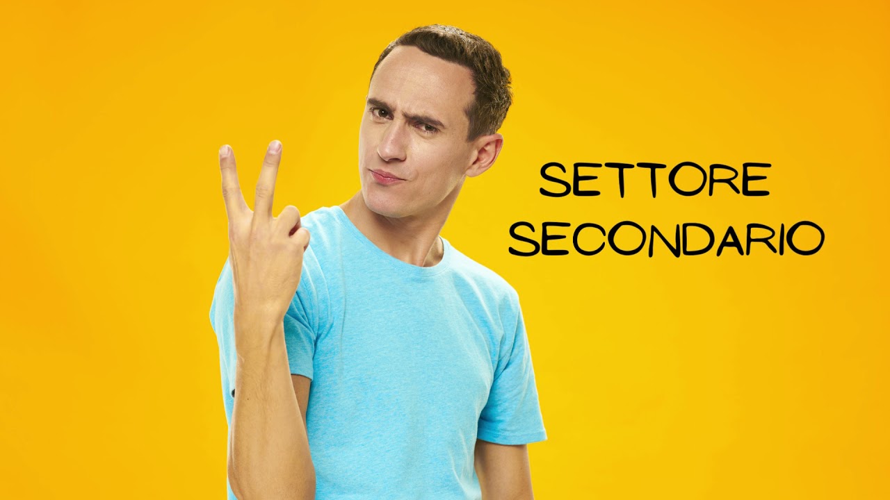 01 03 Settori economici