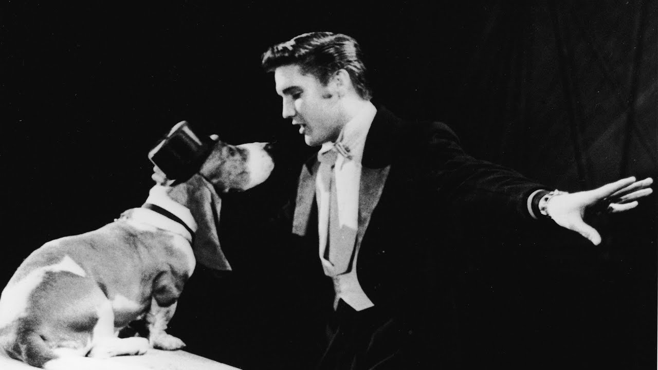 Deconstructing Elvis Presley - Hound Dog (Isolated Tracks)